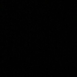 Meet your Posher, Janice